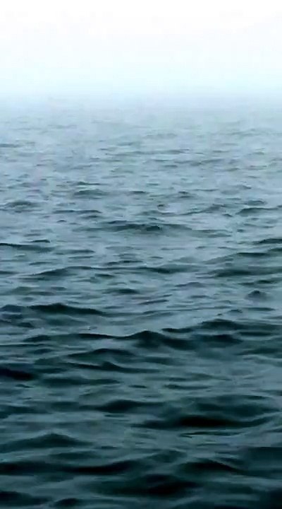 WhatsApp Video 2016-12-15 at 19.46.11
