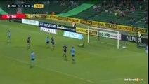 Perth Glory vs Sydney FC 1-3 Goal Bobo  A-League  17-12-2016