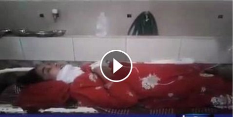 Husband and wife behaviour