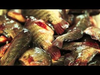 إمباندا - جمبري بالفرن - مسقعة بحريات | من مطبخ أسامة حلقة كاملة