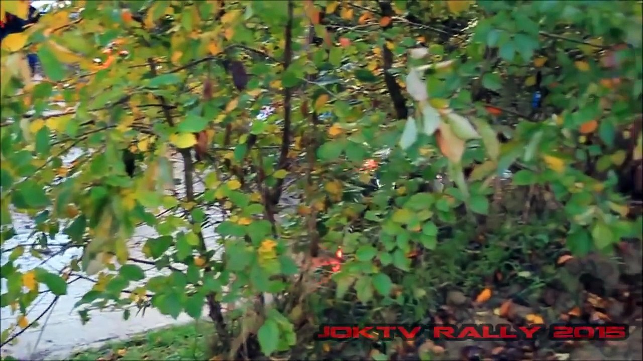Best Of Rally Crash Compilation 02