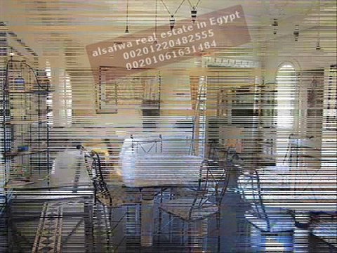 شقه مفروشه شارع محي الدين ابوالعز بالدقي