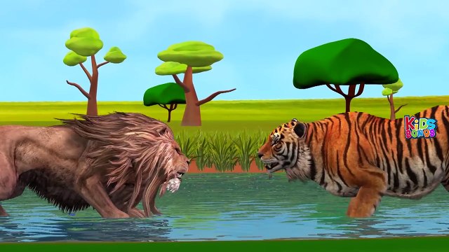 Lion Vs Tiger Finger Family Nursery Rhymes | Lion Vs Tiger Fight | Finger Family Songs For