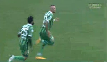 Luigi Castaldo Goal - Bari 0-1 Avellino - (17/12/2016)