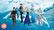 Frozen Cartoon Songs Finger Family Nursery Rhymes Frozen Nursery Rhymes with Lyrics