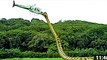 Amazing Wild Animals Attacks #30 Giant snake Anaconda Attack - Largest snake longest python