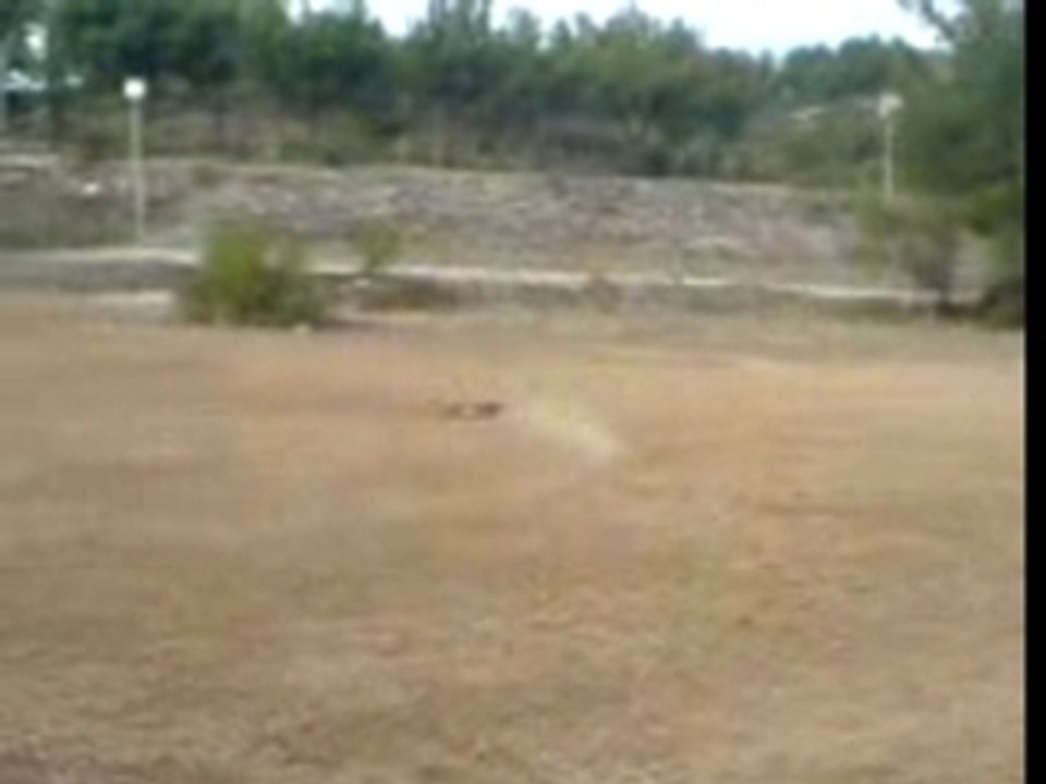 Buggy Inferno MP 7.5 sport 3