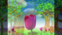 Plant a Tree by Patty Shukla | Earth Day Song For Kids!