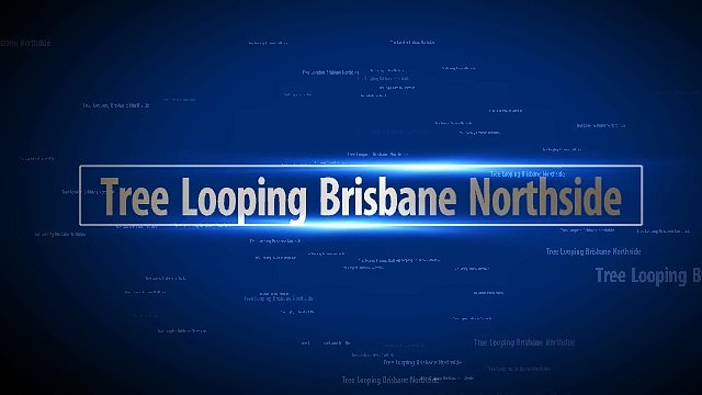 Experienced Tree Lopping Brisbane Northside