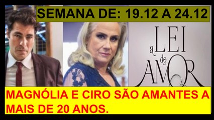 RESUMO COMPLETO DE:A LEI DO AMOR. PERÍODO: 19 A 24.12