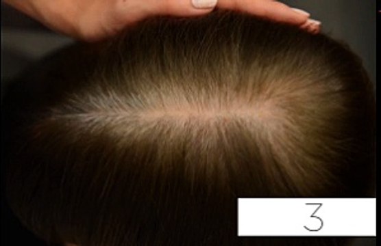 Des chiens font le Mannequin Challenge