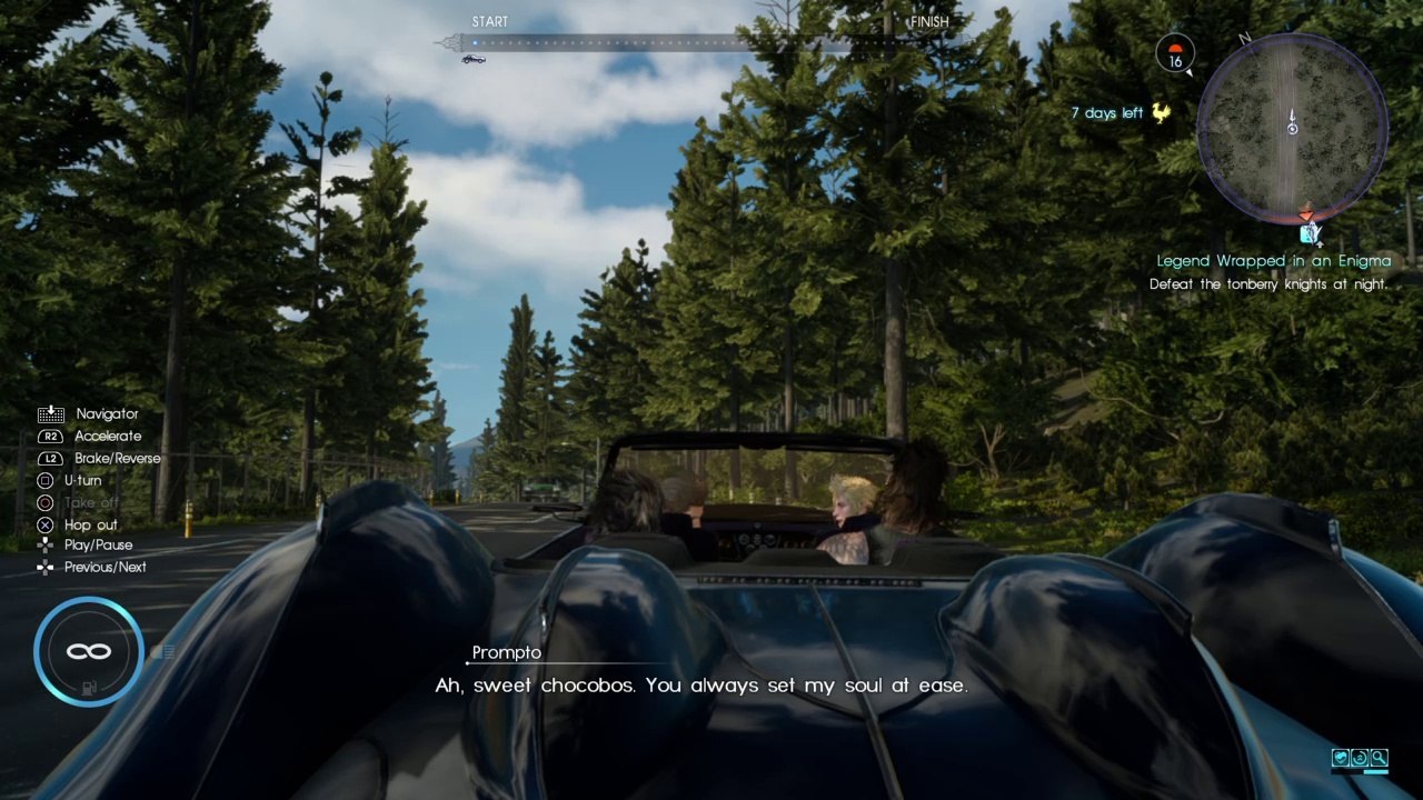 Prompto Really Loves Chocobos