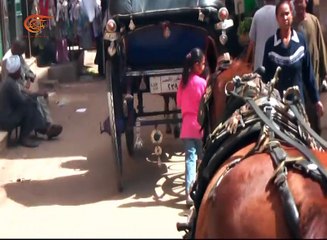 مترو | حق الملكية الفكرية | 2016-12-17