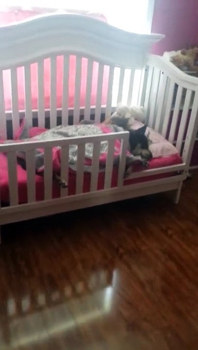 Elle va vérifier que son bébé dort bien et elle tombe sur un truc de fou... Adorable