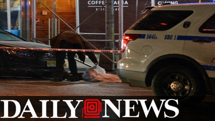Man, 27, Fatally Shot Near Bryant Park Gunman On The Lam