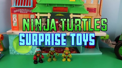 Surprise Toys with Teenage Mutant Ninja Turtles at TMNT Playskool Chinatown Advent Calendar Day 22
