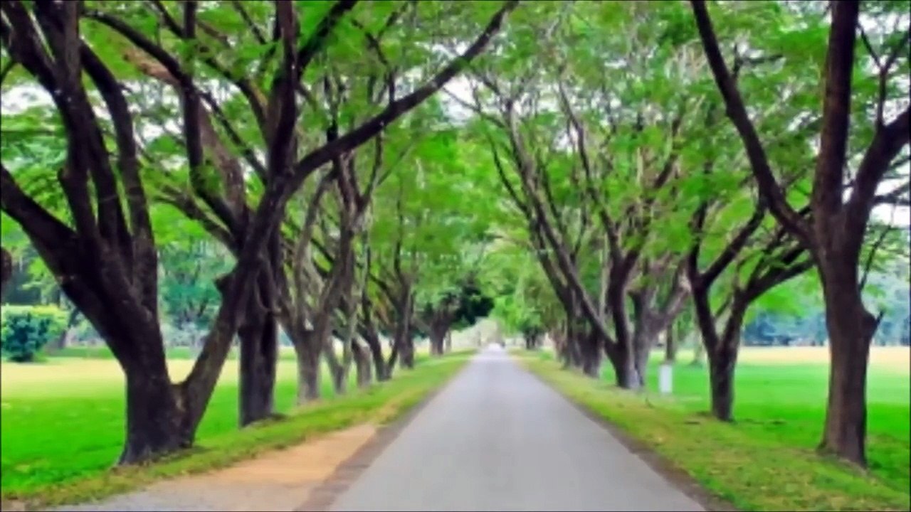 Especial musica para orar- 3 horas de Melodias instrumentales para que puedas orar