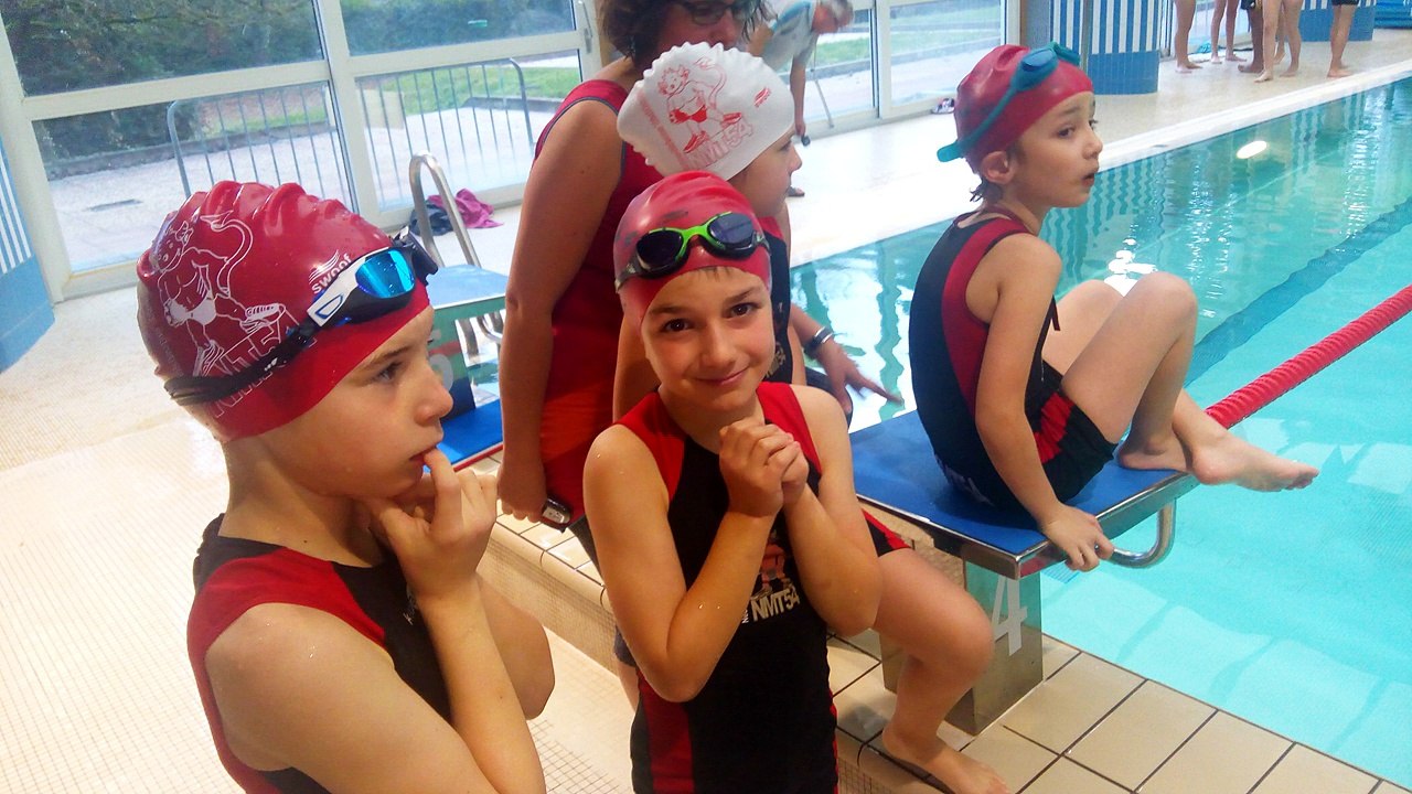 interclub de natation