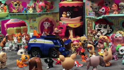 Can SUPERHEROES Cook? Batman Gross Pizza Eating Superhero in Real Life Stop Motion