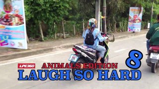 Laugh So Hard 8- Animals Edition -- Compilation