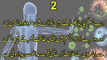 Peyaz Khane Ke 13 Hairat Angaiz Fawaid  13 Magical Health Benefits Of Eating Raw Onion
