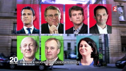 Primaire à gauche : sept candidats dans la bataille