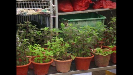 जानिये शाम में क्यों नहीं लगाते झाड़ू | Learn more in the evening, why not take a swab