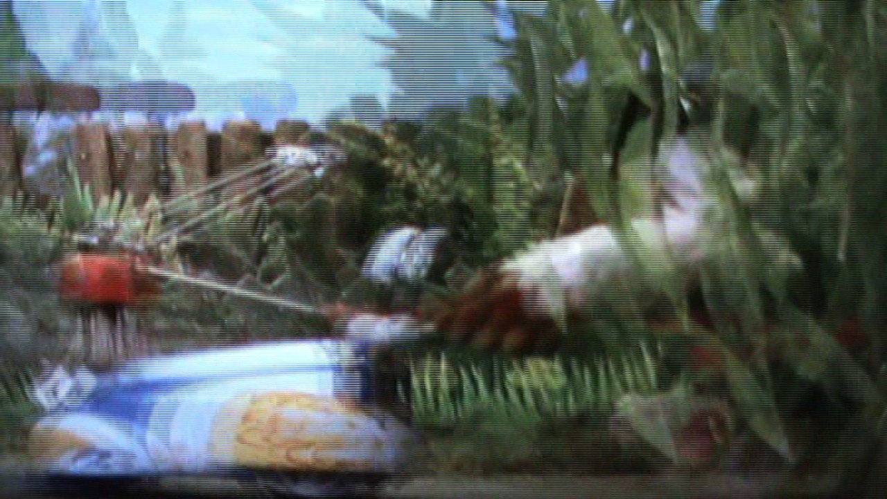 The Wombles S5 E10 - What’s A Womble