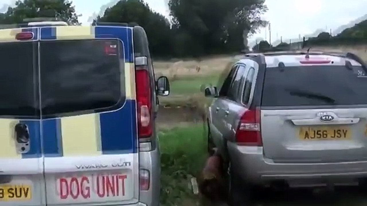 K9 Lenin - Robert Zembrzuski