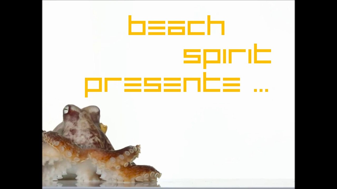 octopus on tour