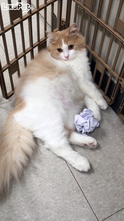 자지말고 놀자~