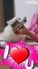 노래 따라하는 뭉뭉이❤