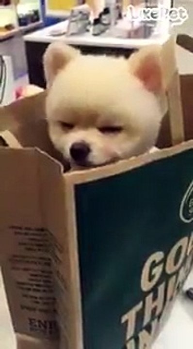 엄마~졸려오~!