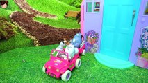 Max Gidget Chloe de la Pelicula Mascotas Hacen Travesuras en La Piscina de Barbie