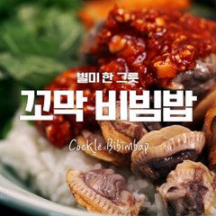 지금이 제철! 맛깔나는 한그릇 꼬막비빔밥♥ [만개의레시피]