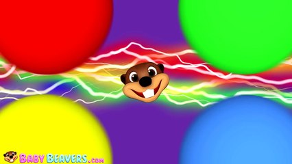 Electric Colors Compilation Vol. 1 | 70 Min Kids Collection, Baby Beavers Teach Colors, Preschool