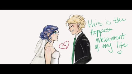 Miraculous Ladybug Cute Mini Comics(4)