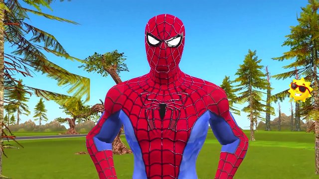 Colors Gorilla VS Lion Tiger Elephant Finger Family | Gorilla Vs Spiderman Hulk Nursery Rhymes