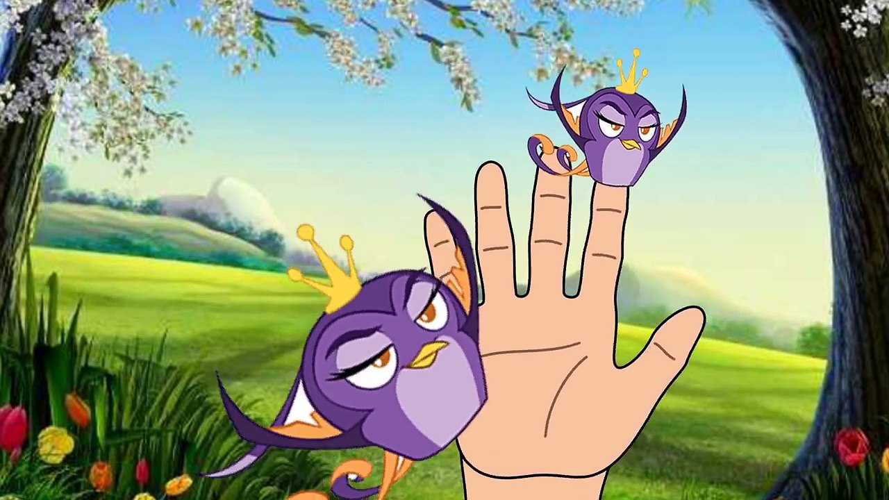Angry Birds Finger Family Songs, 愤怒的小鸟, アングリーバード, ಆಂಗ್ರಿ ಬರ್ಡ್ಸ್