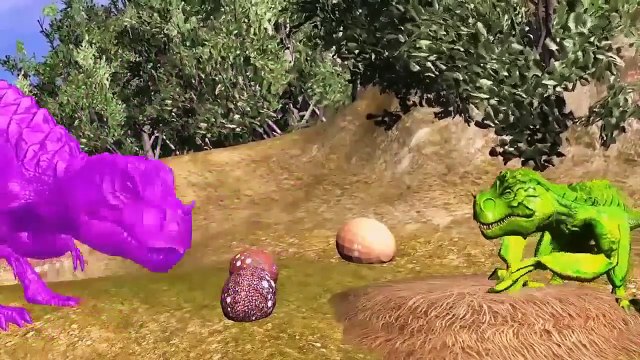 Funny Little Boy With Elephant Little Baby Funny Videos Compilation Funny Little Baby Boy Spiderman