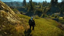 The Witcher 3 : Traque sauvage - Les monstres