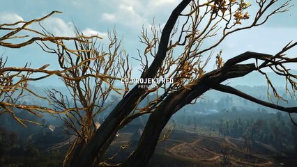 The Witcher 3 : Traque sauvage - Les monstres