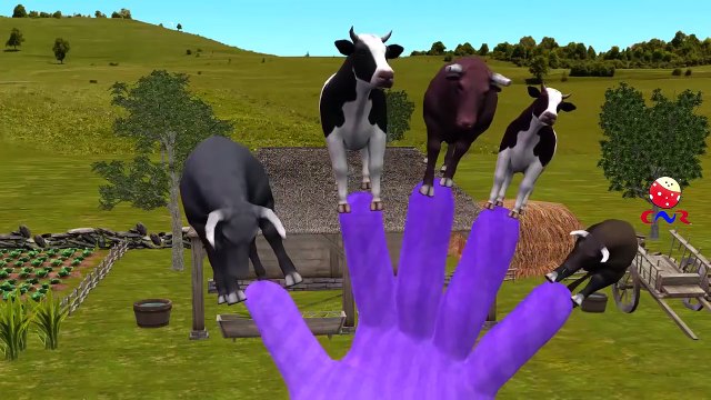 Finger Family Nursery Rhymes for Children Cow Cartoons | Finger Family Children Nursery Rhymes