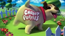 Spin Master - Chubby Puppies - Ultimate Dog - Park Game / Park Rozrywki - TV Toys