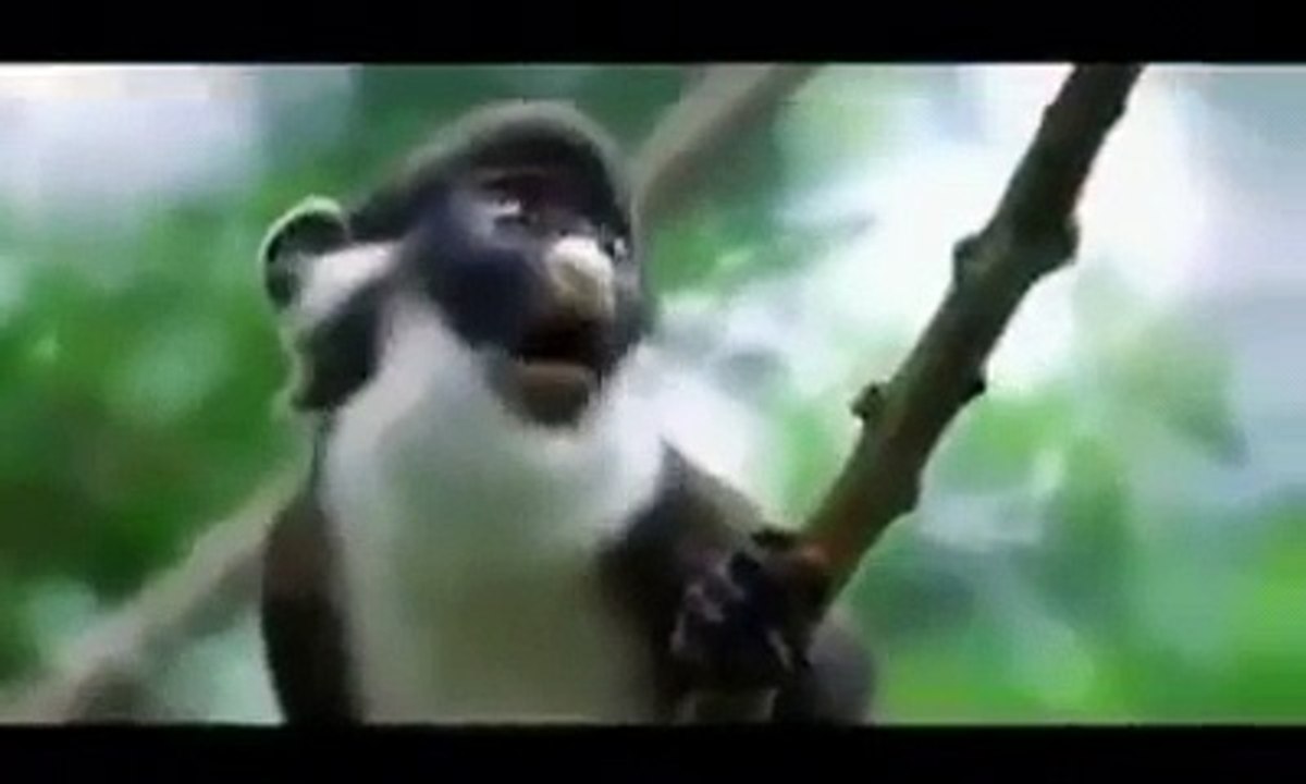 ma tera zameer-funny video-based on parlement