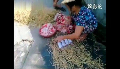 Qui veut du bon rôti de rat ?