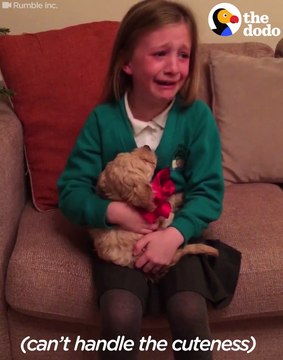 I dhuruan dhuratëm që kishte ëndërruar për Krishtlindje. Shikoni reagimin prekës të vajzës (Video)