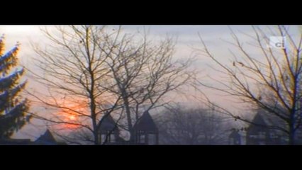 Crime Stories - Chance Encounter