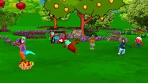 Finger Family Nursery Rhymes for Children Parrot Cartoons | Finger Family Children Nursery Rhymes