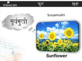 Flowers in Hindi | Hindi Lessons for Kids | Hindi Nursery Rhymes